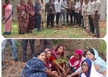 विश्व पर्यावरण दिवस पर भारतीय मानव अधिकार सहकार ट्रस्ट ने किया पौधारोपण