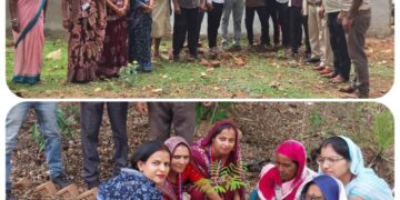 विश्व पर्यावरण दिवस पर भारतीय मानव अधिकार सहकार ट्रस्ट ने किया पौधारोपण