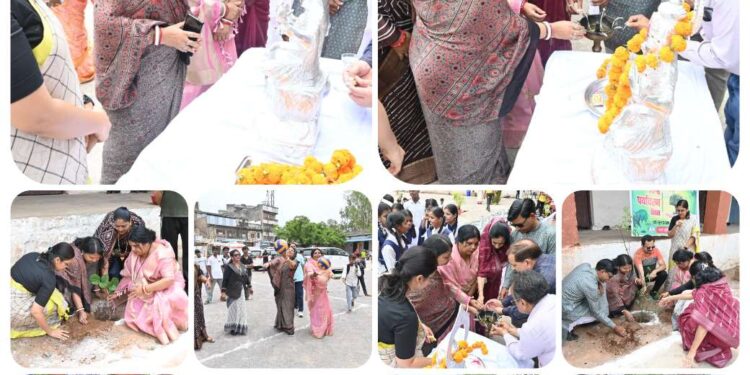 *ग्रीष्मकालीन प्रतिभा शिविर: बच्चों की प्रतिभाओं को मिलेगा मंच, व्यक्तित्व विकास को मिलेगा नया आयाम*  *जनप्रतिनिधियों एवं गणमान्य नागरिकों की गरिमामयी उपस्थिति में ग्रीष्मकालीन शिविर का हुआ शुभारंभ*