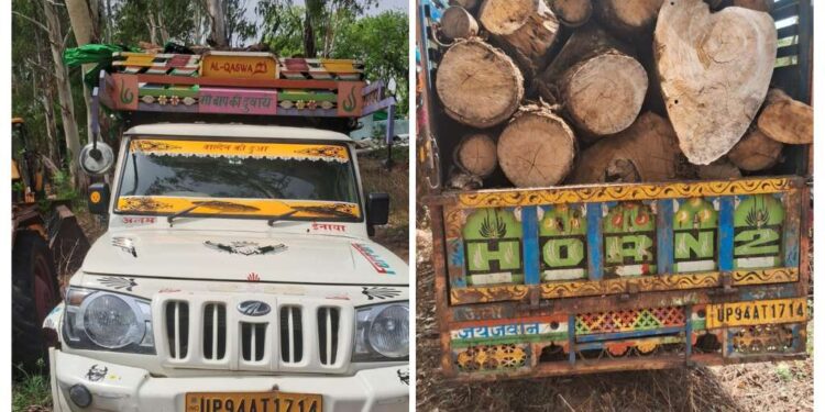 अवैध रूप से सगोन और सेमर की लकड़ी ले जा रहा pikup वाहन वन स्टाफ द्वारा जब्त