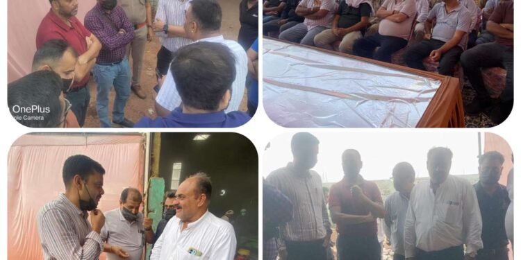 कटनी में लैंटाना से बने पेलेट्स का सफल परीक्षण, वैकल्पिक ईंधन के रूप में मिली सराहना