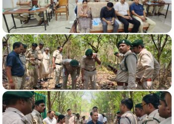 कटनी में वन्यजीव अपराधों पर बड़ा प्रशिक्षण, DFO गर्वित गंगवार की पहल | Wildlife Crime Workshop