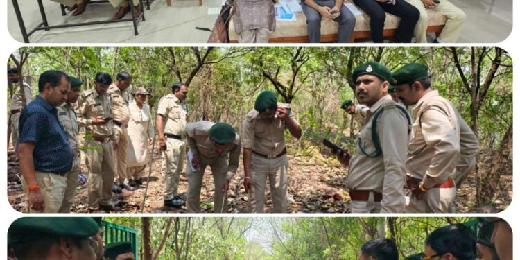 कटनी में वन्यजीव अपराधों पर बड़ा प्रशिक्षण, DFO गर्वित गंगवार की पहल | Wildlife Crime Workshop