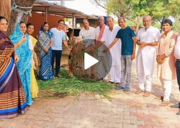 नागदा अग्निहोत्री ब्राह्मण समाज ने किया गौसेवा का पुण्य कार्य
