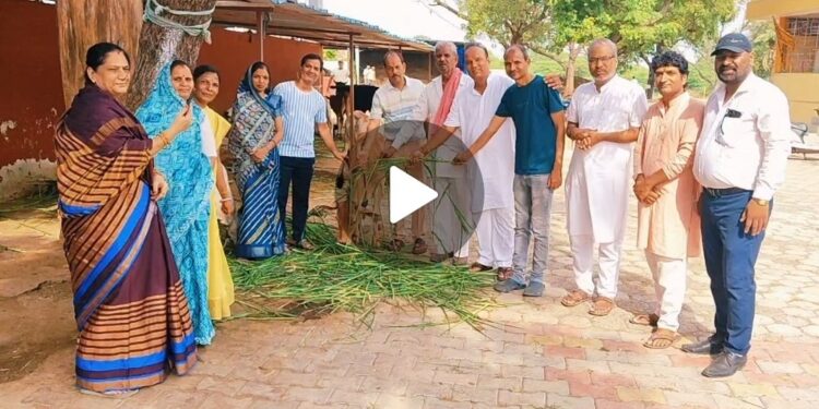 नागदा अग्निहोत्री ब्राह्मण समाज ने किया गौसेवा का पुण्य कार्य