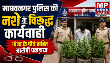 माधवनगर पुलिस की नशे के विरूद्ध कार्यवाही, गांजा के पौधे सहित आरोपी पकड़ाया
