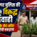 माधवनगर पुलिस की नशे के विरूद्ध कार्यवाही, गांजा के पौधे सहित आरोपी पकड़ाया