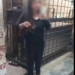 युवती का सड़क पर हंगामा, पुलिस ने संभाला मामला देखे VIDEO