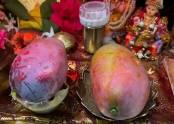 अयोध्या में उगा दुनिया का सबसे महंगा आम! पहली फसल भगवान राम को अर्पित