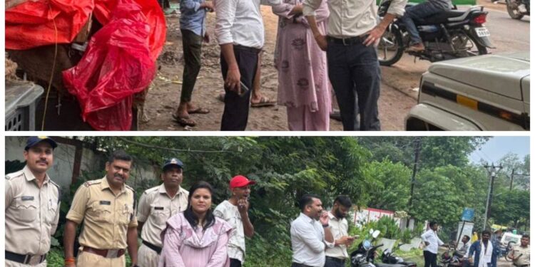 कलेक्टर सोमेश मिश्रा के निर्देश पर शहर की सड़कों पर किए अतिक्रमण हटाने की कार्रवाई वर्षों बाद आई सामने,मुख्य मार्गों से हटाए गए अवैध फल एवं सब्जी ठेले,जुर्माना लगाकर दी गई समझाइश…!