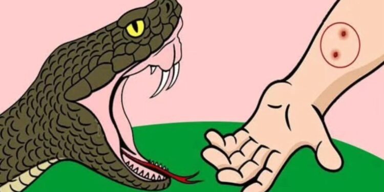 *सांप के काटने पर झाड़-फूंक नहीं, तत्काल अस्पताल पहुंचाएं मरीज*  *एंटी स्नेक वेनम ही बचा सकता है मरीज की जान*