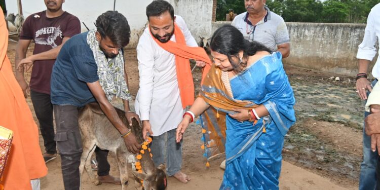 *गौसेवा और संरक्षण की दिशा में बड़ा कदम, अमीरगंज कांजी हाउस में विकास कार्यों का हुआ शुभारंभ*