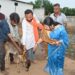 *गौसेवा और संरक्षण की दिशा में बड़ा कदम, अमीरगंज कांजी हाउस में विकास कार्यों का हुआ शुभारंभ*