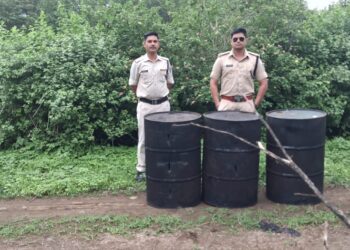 *अवैध शराब के अड्डों पर पांढुरना आबकारी की दबिश*  *ग्राम घोघरी में 300 किलोग्राम महुआ लाहन नष्ट, आबकारी अधिनियम के तहत 2 प्रकरण दर्ज*