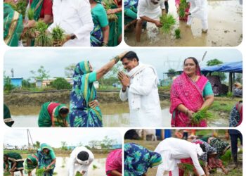 *खेत में उतरे-बोया धान, किसानों से इस अंदाज में सीएम डॉ. मोहन ने की ‘दिल की बात’, देखें Photos*  – *सिवनी में धान महोत्सव, कोदो कुटकी बोनस वितरण समारोह का आयोजन* – *सीएम डॉ. मोहन यादव ने खोला खजाना, सिवनी जिले को दी बड़ी सौगात* – *349.33 करोड़ रुपए के विकास कार्यों का लोकार्पण, 144.8 करोड़ के कामों का भूमि-पूजन*