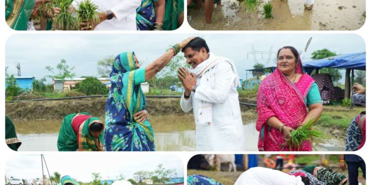 *खेत में उतरे-बोया धान, किसानों से इस अंदाज में सीएम डॉ. मोहन ने की ‘दिल की बात’, देखें Photos* – *सिवनी में धान महोत्सव, कोदो कुटकी बोनस वितरण समारोह का आयोजन* – *सीएम डॉ. मोहन यादव ने खोला खजाना, सिवनी जिले को दी बड़ी सौगात* – *349.33 करोड़ रुपए के विकास कार्यों का लोकार्पण, 144.8 करोड़ के कामों का भूमि-पूजन*