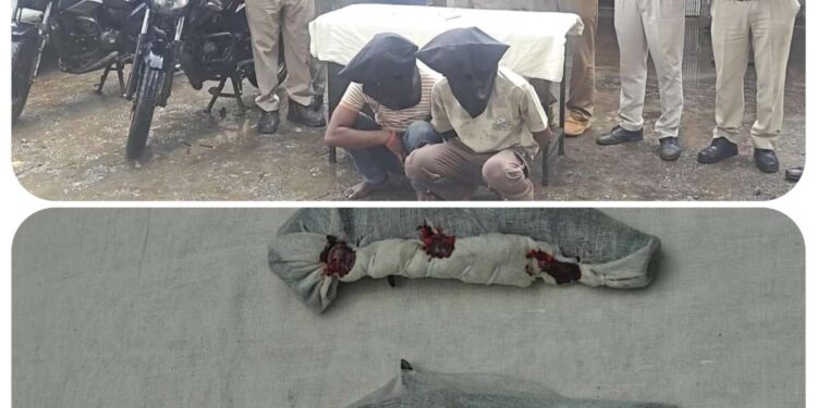 पन्ना पुलिस की बड़ी सफलता