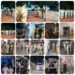 कटनी पुलिस का मेगा कॉम्बिंग ऑपरेशन: 24 स्थाई वारंटी, 52 गिरफ्तारी वारंट तामील MP NEWS CAST