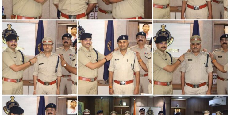 *पुलिस अधीक्षक कटनी ने पदोन्नत अधिकारियों के कंधों पर लगाए सितारे*