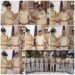 *पुलिस अधीक्षक कटनी ने पदोन्नत अधिकारियों के कंधों पर लगाए सितारे*