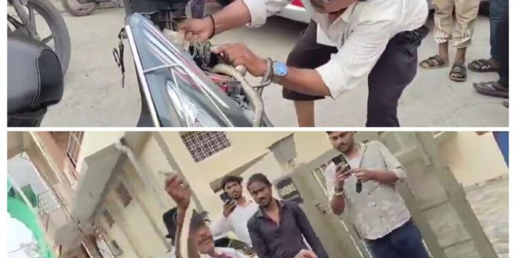 😱 स्कूटी में जा घुसा 5 फीट लंबा सांप खींच-खींचकर निकालना पड़ा बाहर, देखें वायरल VIDEO