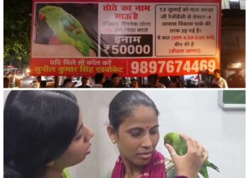 50 हजारी तोते की घर वापिसी देखे VIDEO