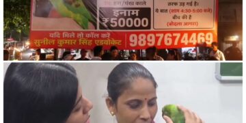 50 हजारी तोते की घर वापिसी देखे VIDEO