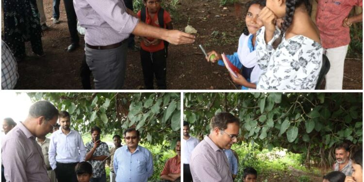 सड़क किनारे लगी कलेक्टर की पाठशाला! बच्चों से ABCD और पहाड़ा सुनकर दिए गिफ्ट | Katni खदान से लौटते वक्त रुके कलेक्टर आशीष तिवारी, बच्चों के बीच बिताए यादगार पल