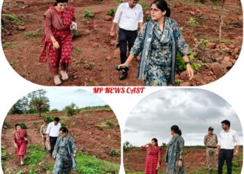 🌳 लाल पहाड़ी पर हरियाली मिशन निगमायुक्त तपस्या परिहार का बड़ा एक्शन, 9 हजार गड्ढे तैयार Katni News