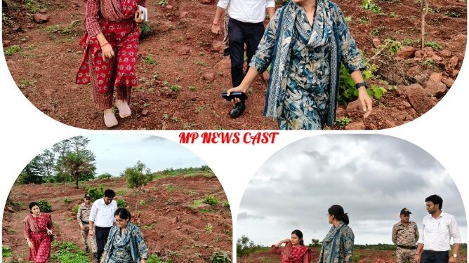 🌳 लाल पहाड़ी पर हरियाली मिशन निगमायुक्त तपस्या परिहार का बड़ा एक्शन, 9 हजार गड्ढे तैयार Katni News