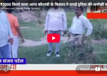 3000 किलो वाला आम कौशांबी के किसान ने उगाई दुनिया की अनोखी फलों की बगिया