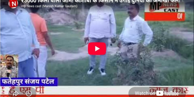 3000 किलो वाला आम कौशांबी के किसान ने उगाई दुनिया की अनोखी फलों की बगिया