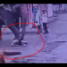 इंदौर में हाथी के कुचलने से हुई ऑटो चालक की मौत के बाद अब हाथियों के प्रवेश को शहर में रोका जाएगा। देखे VIDEO