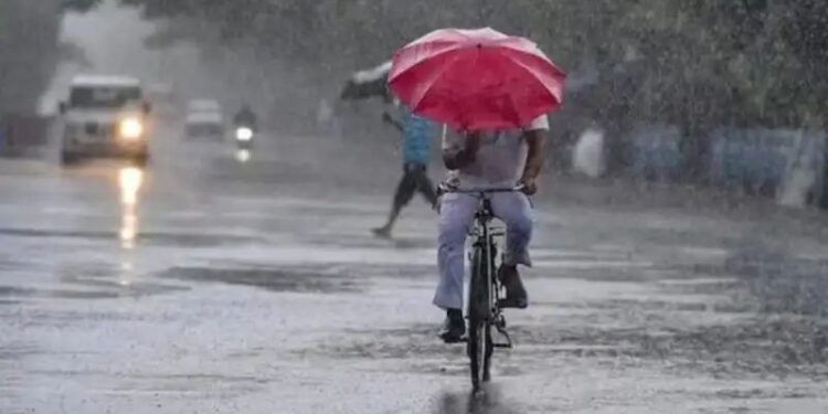 मध्य प्रदेश में मानसून ने पकड़ी रफ्तार, पन्ना-सतना में भारी बारिश की चेतावनी