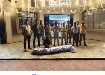 माधवनगर पुलिस की नशे के विरुद्ध बड़ी कार्रवाई, 30 किलो से अधिक गांजे के पौधे बरामद कर आरोपी को पकड़ा