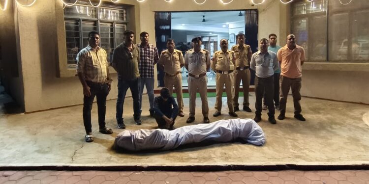 माधवनगर पुलिस की नशे के विरुद्ध बड़ी कार्रवाई, 30 किलो से अधिक गांजे के पौधे बरामद कर आरोपी को पकड़ा