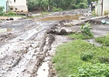वार्डों की बदहाल सड़क को लेकर अध्यक्ष पीयूष अग्रवाल ने उठाई आवाज़ — कलेक्टर को लिखा पत्र