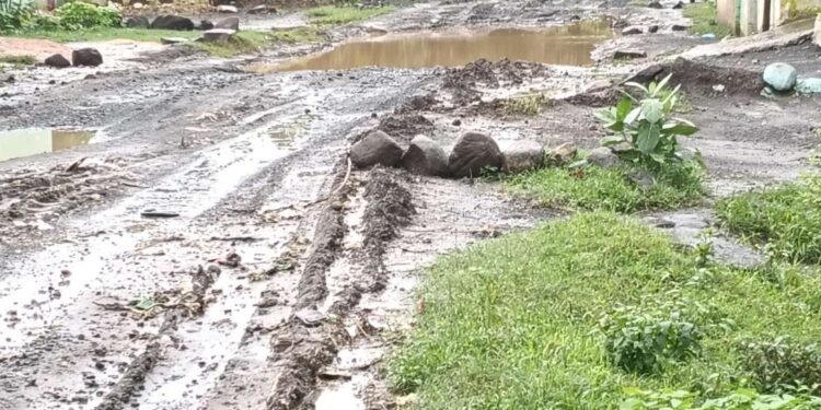 वार्डों की बदहाल सड़क को लेकर अध्यक्ष पीयूष अग्रवाल ने उठाई आवाज़ — कलेक्टर को लिखा पत्र