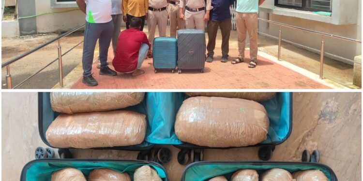 *स्लीमनाबाद पुलिस ने गांजा तस्कर को बीस किलो से अधिक गांजे के साथ दबोचा*
