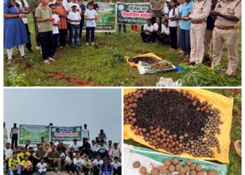 कटाऐघाट में हरियाली का महाअभियान 🌳 40 स्कूली बच्चों ने संभाली कमान, अफसरों ने भी लगाए पौधे”