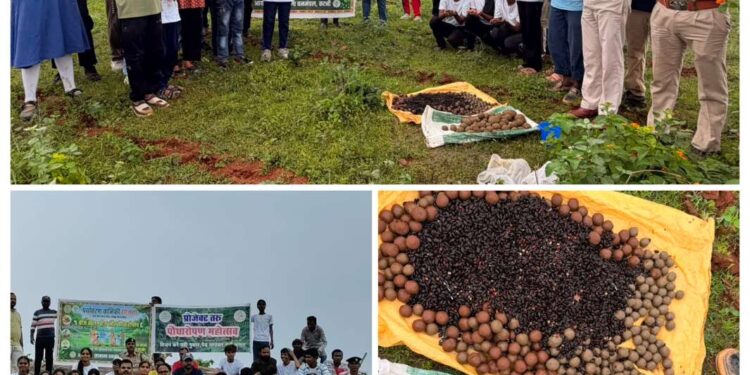कटाऐघाट में हरियाली का महाअभियान 🌳 40 स्कूली बच्चों ने संभाली कमान, अफसरों ने भी लगाए पौधे”