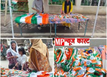 कलेक्टर कार्यालय एवं निगम कार्यालय के प्रवेश द्वार पर स्थापित स्टॉल से नागरिकगण निर्धारित दर पर क्रय कर सकेंगे राष्ट्रीय ध्वज