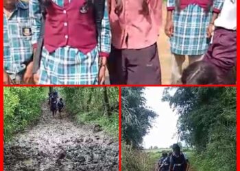 *🌟विकास के दावों की खुली पोल: कीचड़ और दलदल से गुजरकर स्कूल जाने को मजबूर बेटियां, हादसों के साये में बचपन🌟*
