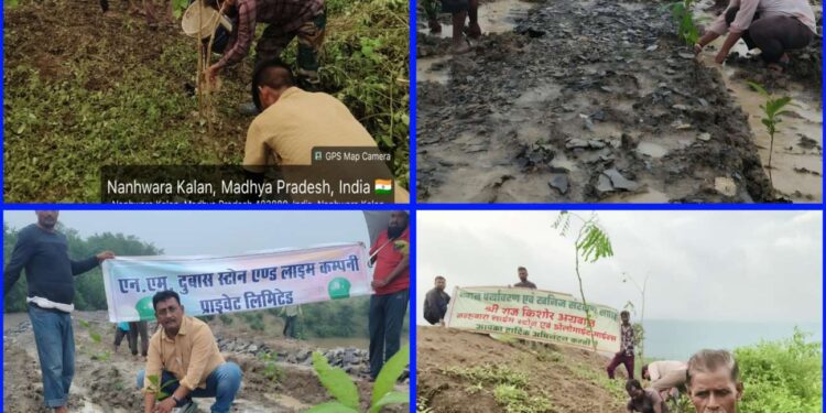 खनिज विभाग की पहल खदान क्षेत्रों में कराया गया व्यापक वृक्षारोपण, ग्रामीणों को फलदार एवं छायादार पौधों का भी किया गया नि:शुल्क वितरण