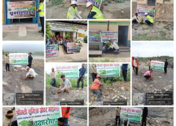कटनी में खनिज विभाग की पहल पर वृहद वृक्षारोपण अभियान, खनिज धारकों ने संभाली जिम्मेदारी