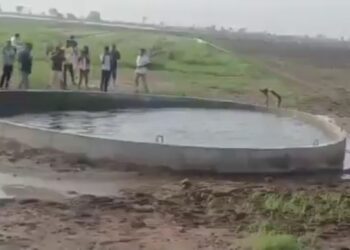 😱 मोरबी के इस कुएं में आखिर कौन हिला रहा है पानी? VIDEO देखने उमड़ी भीड़