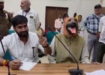 आवारा कुत्तों का आतंक! कलेक्ट्रेट की जनसुनवाई में कुत्ते का कॉस्ट्यूम पहनकर पहुंचा शख्स… 🐕😱