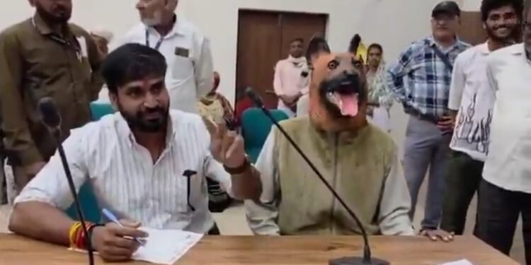 आवारा कुत्तों का आतंक! कलेक्ट्रेट की जनसुनवाई में कुत्ते का कॉस्ट्यूम पहनकर पहुंचा शख्स… 🐕😱