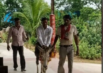 बारिश के लिए अनोखा टोटका: गधे पर उल्टा बैठाकर गांव के पटेल को ले गए श्मशान, वीडियो वायरल