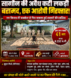 कैमसेंडा वन परिक्षेत्र में वन विभाग की बड़ी कार्रवाई, अवैध सागौन चिरान जब्त